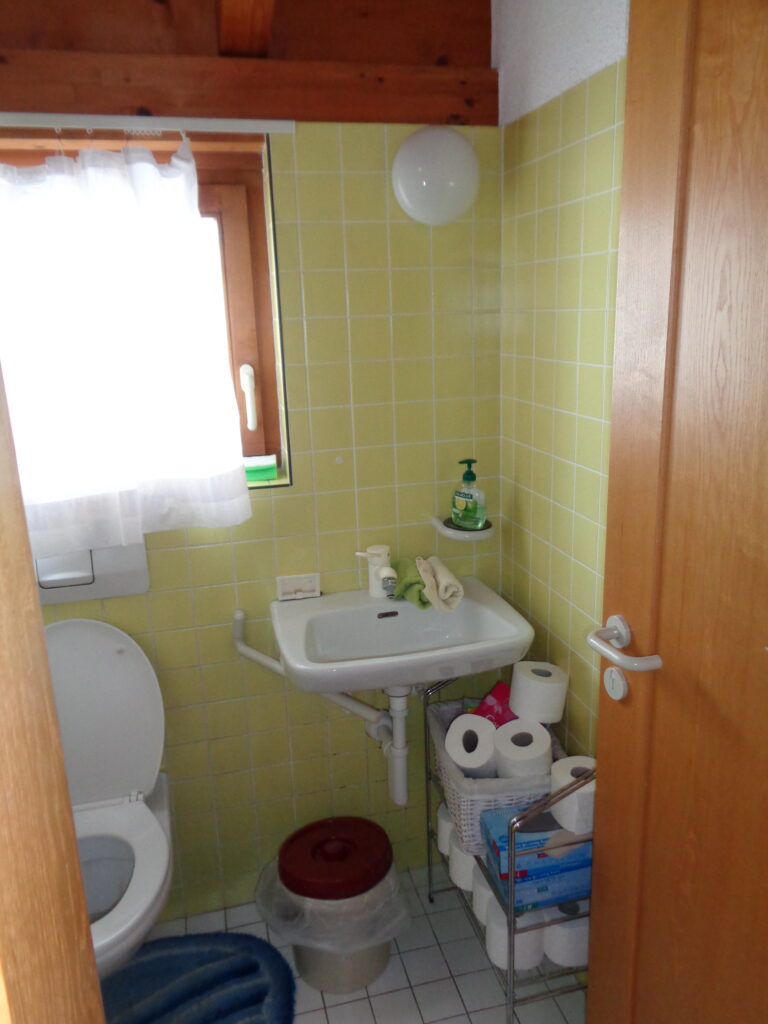 Vorher: enges WC mit gelben Wandfliesen, schlichtem Waschbecken und einem Regal mit Toilettenpapier.